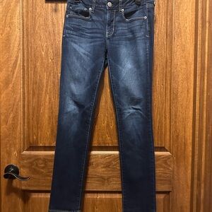 American Eagle Outfitters Dark Blue Skinny Jeans